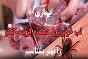بیماری تب خونریزی دهنده کریمه کنگو را بهتر بشناسیم